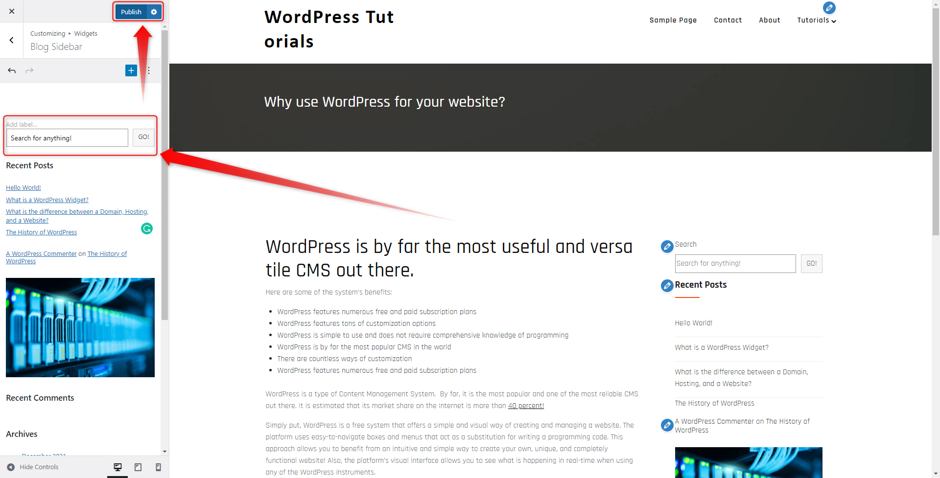 WordPress Widgets Publish Button